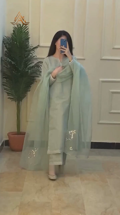 Aurelia - Light Green Organza with Sequin & Resham Embroidery